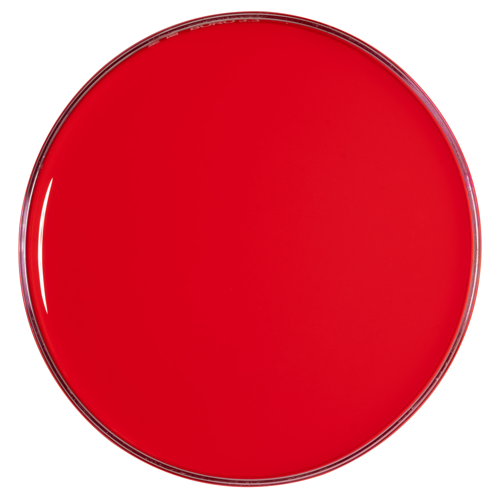 HN-11 Fluorescent Pink